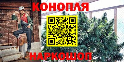 шишки Канаш